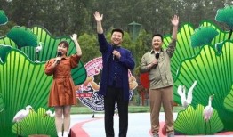 最新网络八卦爆料新闻视频,最新八卦新闻视频揭秘，真相令人震惊！